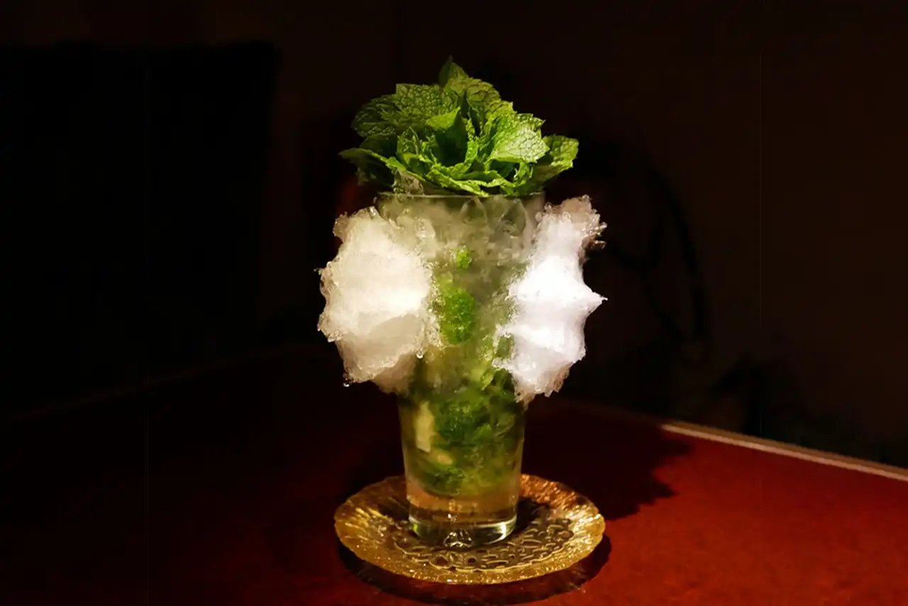 Pomegranate Mojito