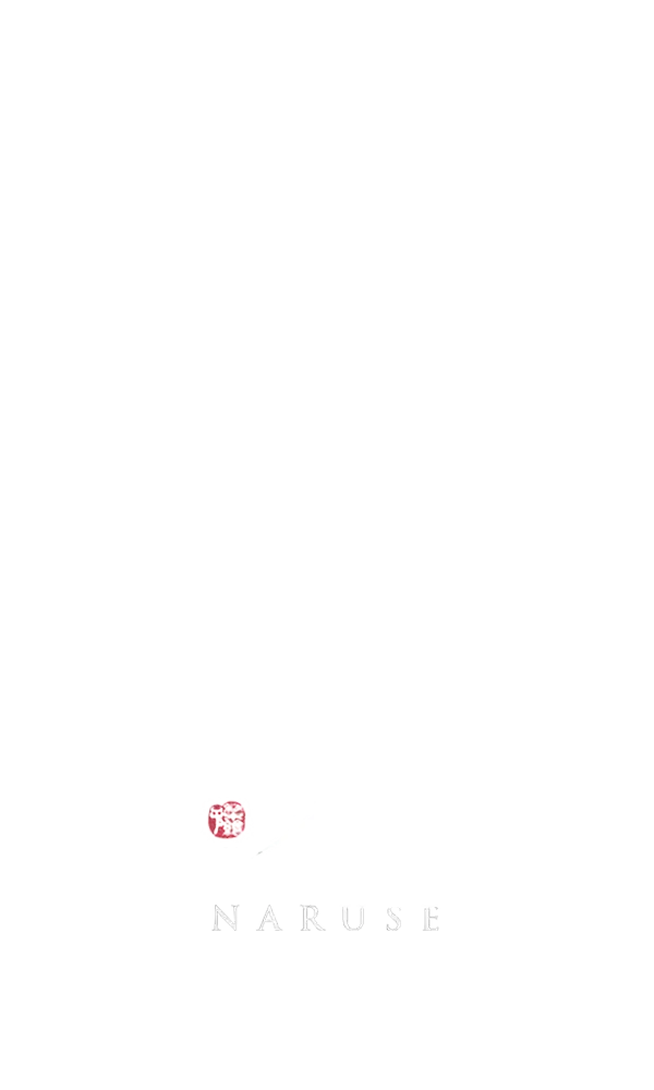 Naruse logo