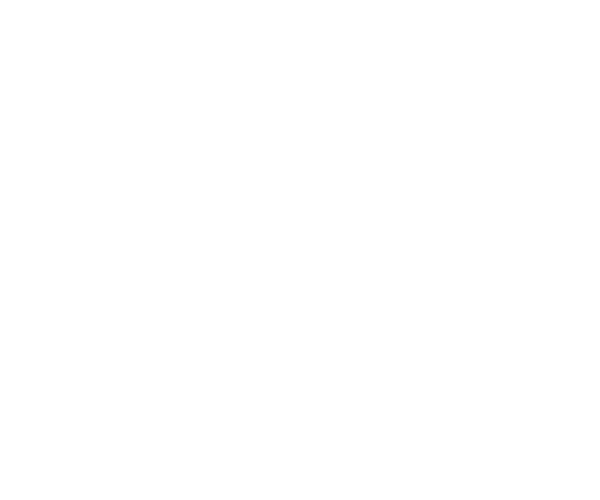 Ao logo