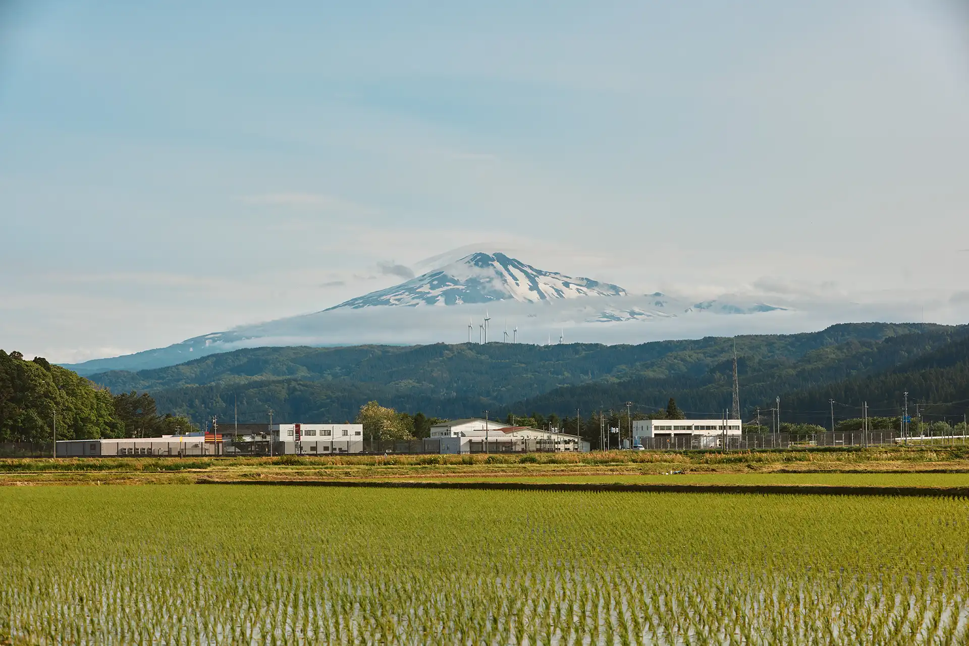 The Bounty of Akita