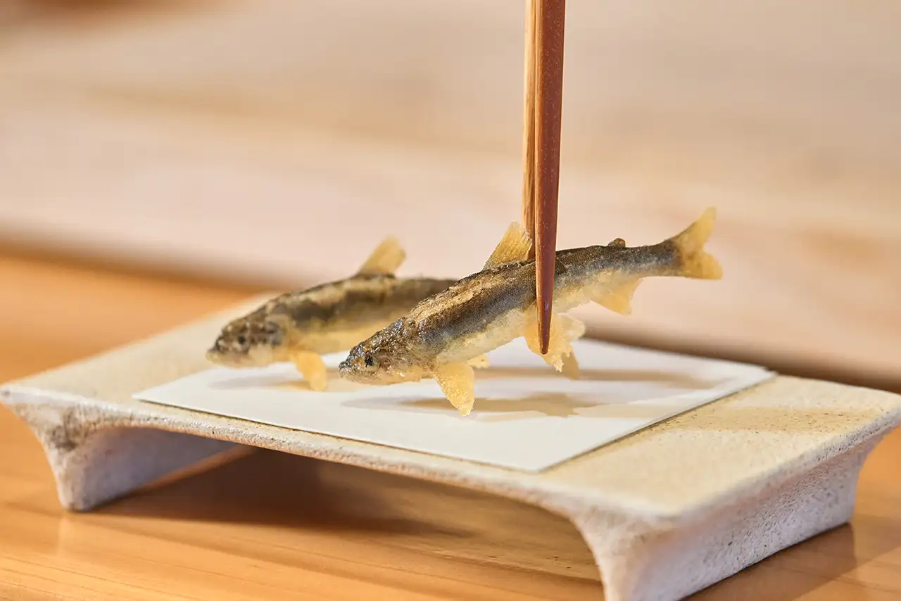 Signature Young Sweetfish